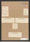 Nitzschia littoralis var. slesvicensis Grun. (de-Toni-Nr.: Genus 47, Species 2032) Zeichnungen Sammlung Grunow Nr. 4018 (NHMW-BOT-W0371823)